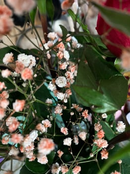 Closeup view of clusters of delicate pink and white flowers intertwined with rich green leaves. Natural plants, highlighting intricate details of floral design. Soft colors create warm ambiance photo