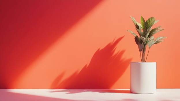 Modern minimalist plant in white pot casting shadow on vibrant coral background photo