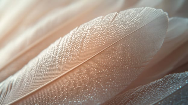 Close up macro photograph of delicate white feather showing intricate details photo