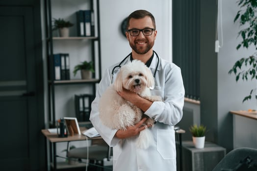 In glasses. .Doctor in white coat is standing and holding maltese dog in hands. In the clinic photo