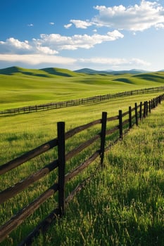 Lush green fields under a blue sky photo