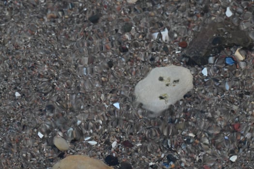 Underwater View of Sandy Surface with Stones photo