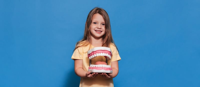 A smiling girl with healthy teeth holds a large jaw in her hands on a blue isolated background. A place for your text. Oral hygiene. Pediatric dentistry. Prosthetics. Rules for brushing teeth,. photo