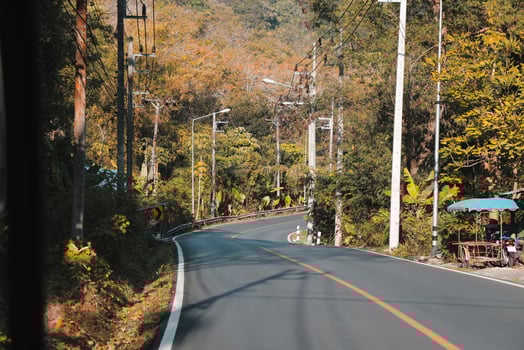 A Winding Road That Thoroughly Meanders Through a Serene and Picturesque Nature Landscape photo