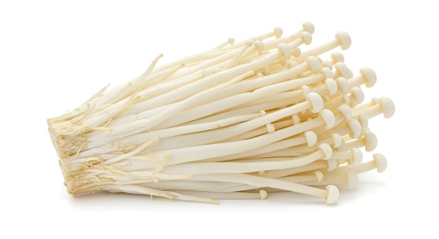 Enoki Mushroom Cluster on White Background Ingredient for Asian Cuisine photo