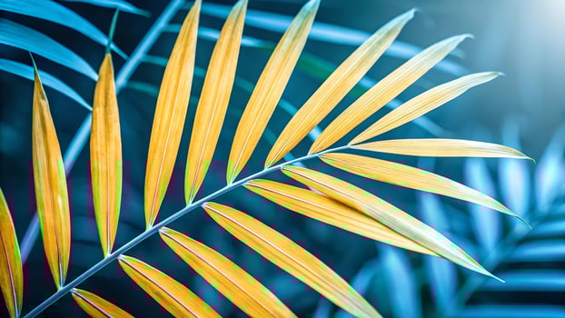 Palm Leaf Vibrant Colors in Tropical Garden for Nature Lovers and Designers Seeking Botanical Beauty tropical photo