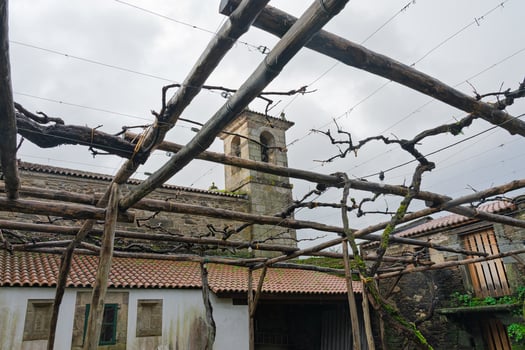 Historic monastery Camanzo with bell tower and vineyard-covered courtyard in rural Galicia photo