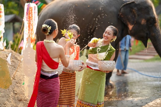 Group of beautiful Thai women in the Thai traditional dress playing to sprinkle water on the Thai New Year's Day or Songkran festival in a fun way with elephant outdoor photo