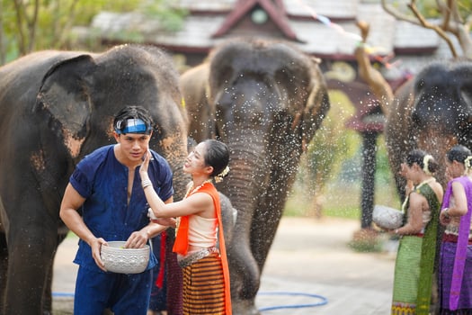 Young woman in the Thai traditional dress applies powder to a young man's cheek with elephants splashing water in the Thailand Songkran water festival. photo