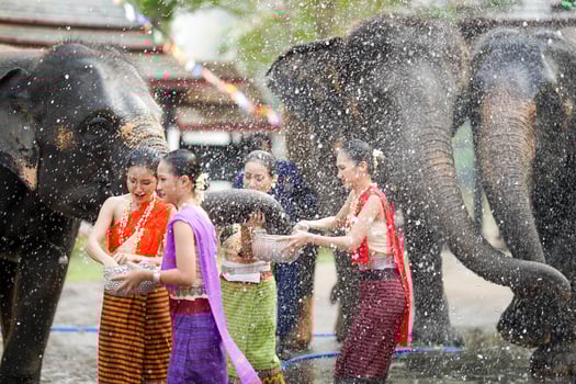 Group of beautiful Thai women with the Thai traditional dress play to sprinkle water on the Thai New Year's Day or Songkran festival in a fun way with elephants. photo