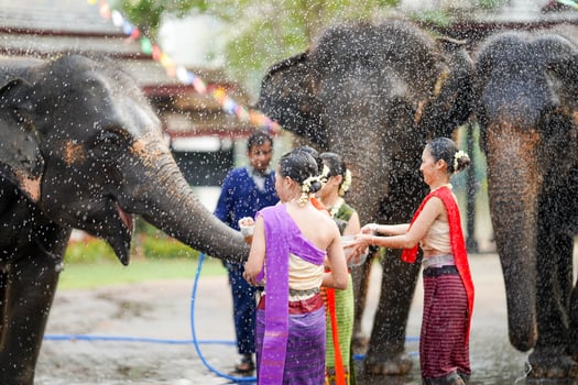 Group of beautiful Thai women in the Thai traditional dress play to sprinkle water on the Thai New Year's Day or Songkran festival with elephants. photo