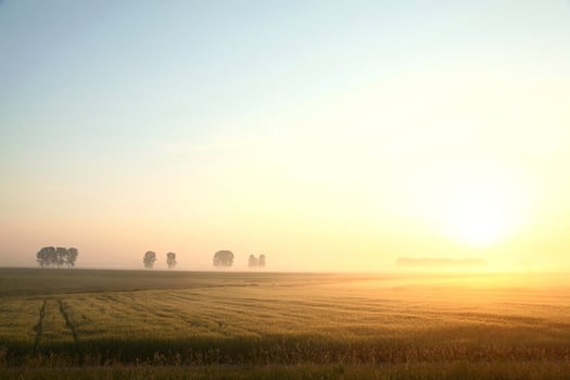 Sunrise over the field. June, Poland photo