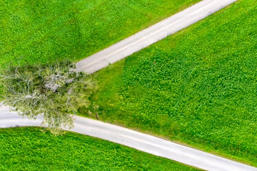 aerial view of fork road in a field and tree photo