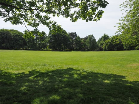 urban park background photo
