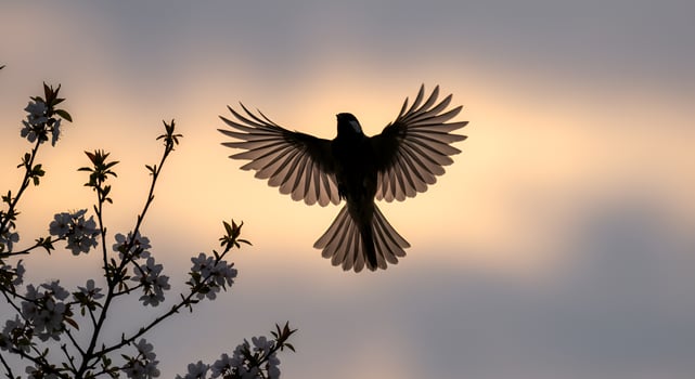 Silhouette of a Bird in Flight at Sunset with Blossoming Branches photo
