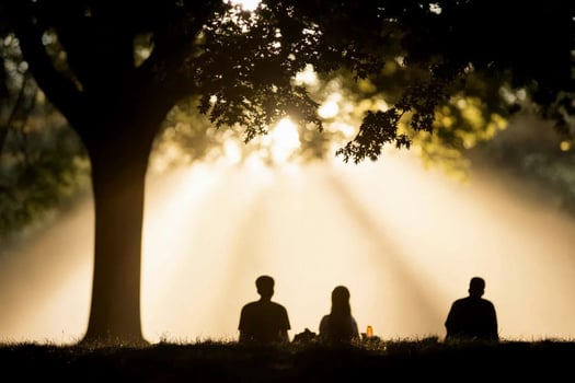 Three people sit under a tree in the sun photo
