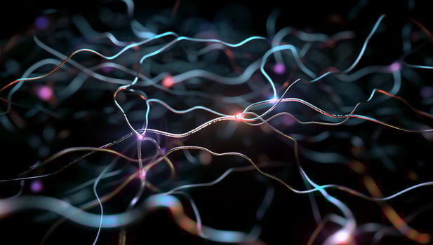 Complex neural network. Intricate connections of neurons photo