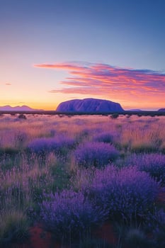Desert rock formation at sunset. Wild purple flowers in foreground. Peaceful landscape with clouds and clear sky. Colorful outdoor scene. photo
