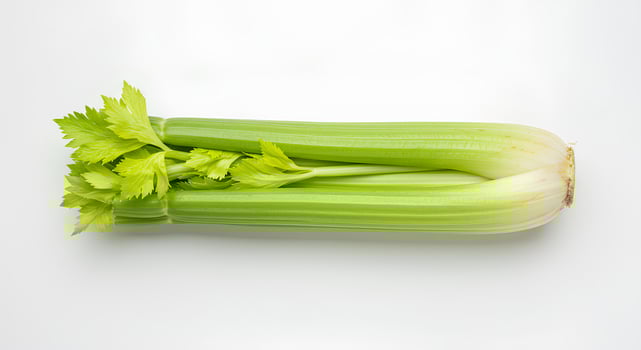 Whole celery stalk with leafy greens isolated on white background with realistic shadow. Organic and fresh celery vegetable for vegan, vegetarian, and detox food themes photo