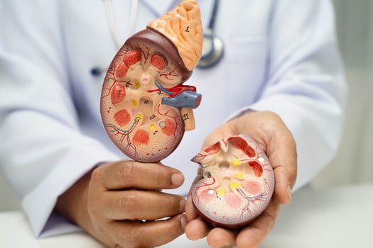 Chronic kidney disease, doctor photo