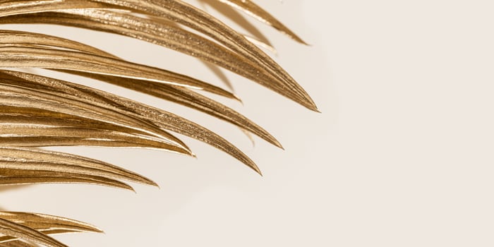 Golden palm leaf close up as trend design background, beige monochrome image. Smooth lines of golden tropical plant, beautiful elegant minimal nature. Fashion style wide banner photo