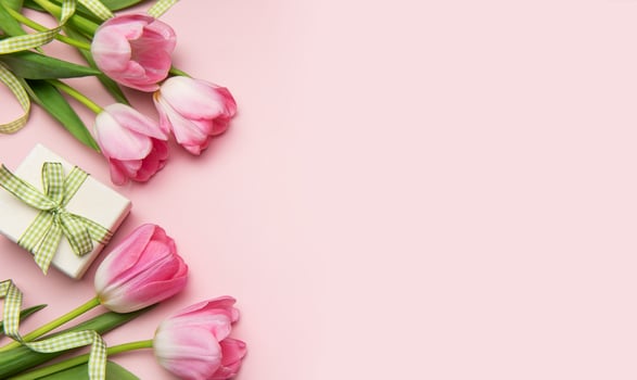 Pink tulips and gift box creating a spring themed flat lay on pink background photo