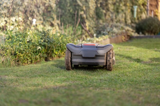 Robot lawn mower mowing the lawn, rear view photo