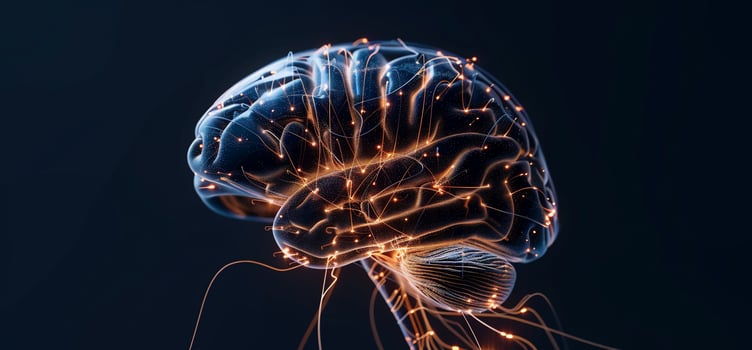 The brain is glowing with light photo