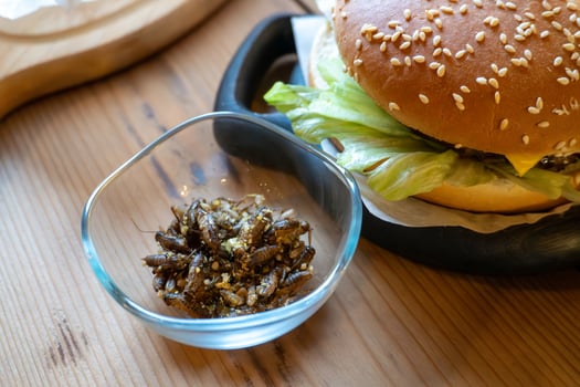 Gourmet burger with edible insects and fresh lettuce on wooden table photo