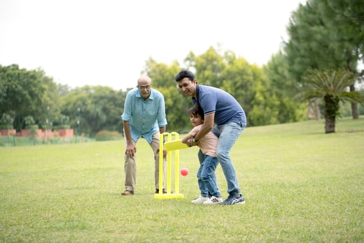 Son And Dad Playing Cricket photo