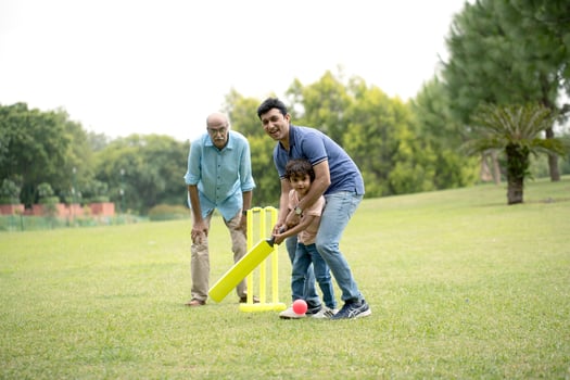 Dad And His Son Playing Cricket With Grandpa photo