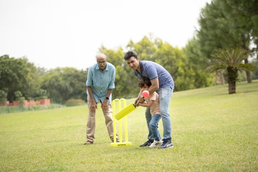 Whole Family Enjoying Cricket in the park photo