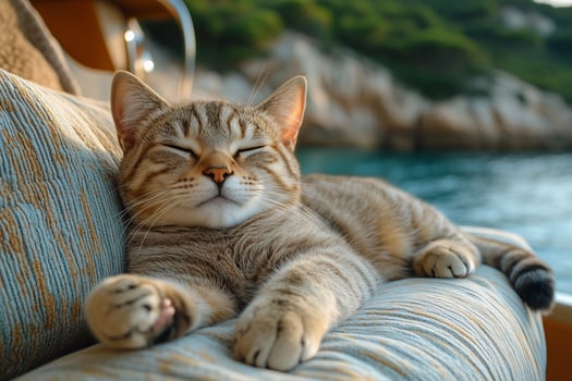 a cat lounging on a cushioned seat on the deck of a yacht, paws stretched out, calm sea in the background, soft natural lighting photo