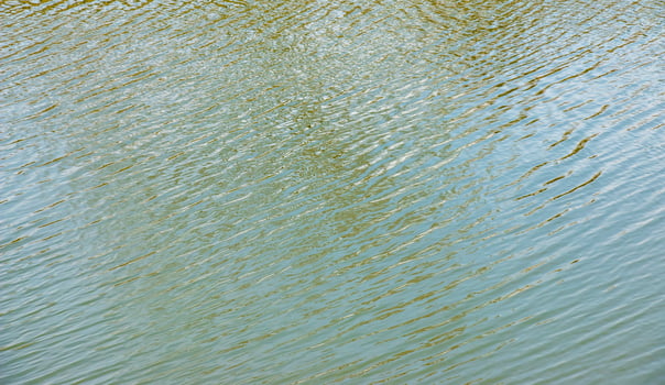 Water surface at sunset, ripples of river or ocean with small waves, calm and close-up. Abstract background, texture. photo