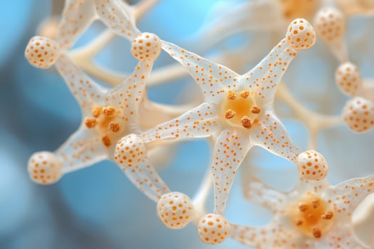 A close up of a flower with white dots photo