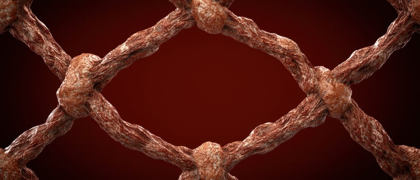 Abstract organic lattice structure with a red background photo
