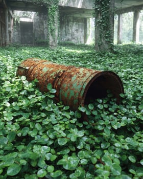 An old rusty barrel sits in an overgrown abandoned building photo