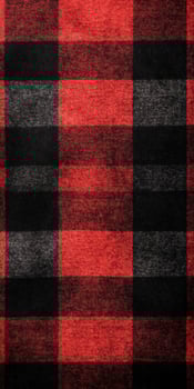 Red and black checkered pattern with a rustic textile texture in a classic design photo