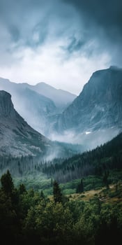 A mountain valley with trees and fog photo