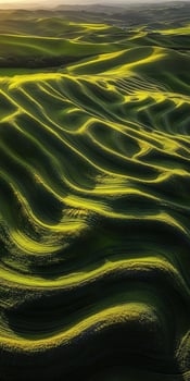 A beautiful green field with waves of grass photo
