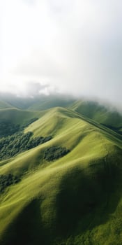 A green hillside with trees and grass photo