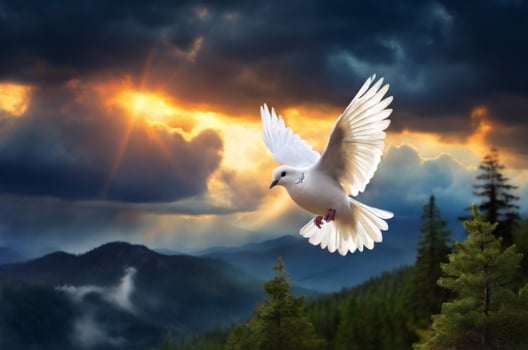 White dove flying over the mountains at sunset photo