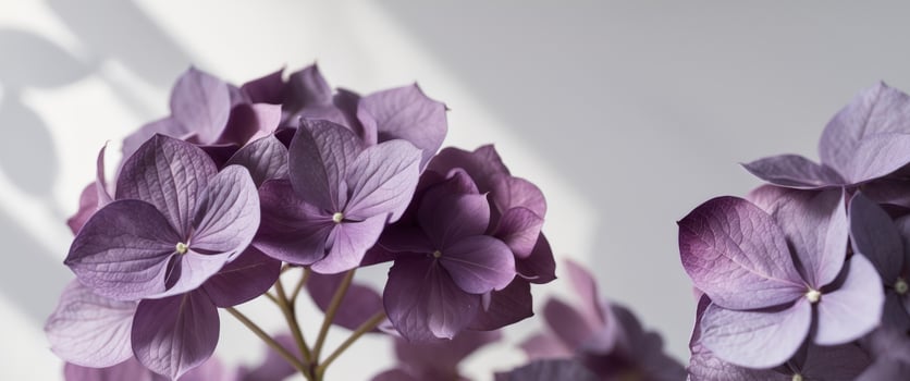 A vase of purple flowers on a white surface photo