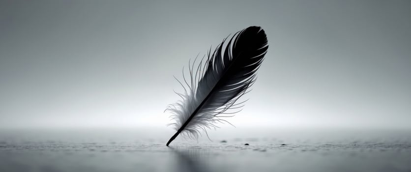 A black feather is sitting on a table photo