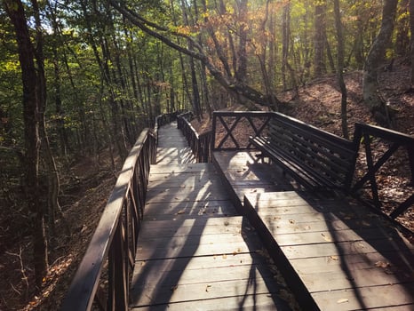 Eco trail, wooden staircase in a shady park. photo