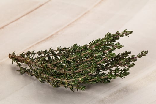A small branch of rosemary on a white surface photo