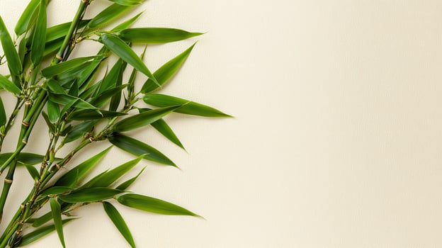 Lush Green Bamboo Branches on Beige Background Perfect for Spa Wellness or Nature Designs photo