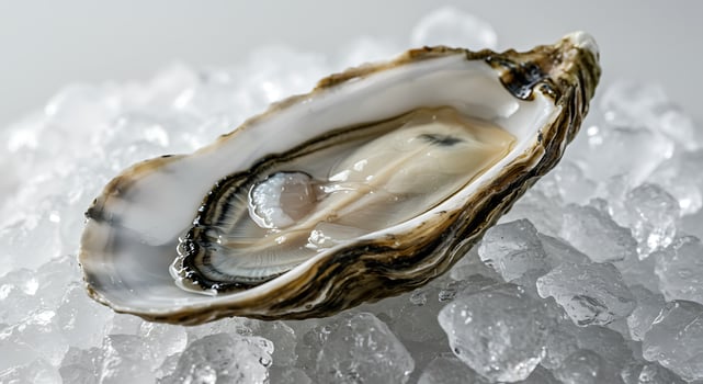 An oyster is sitting on top of ice photo