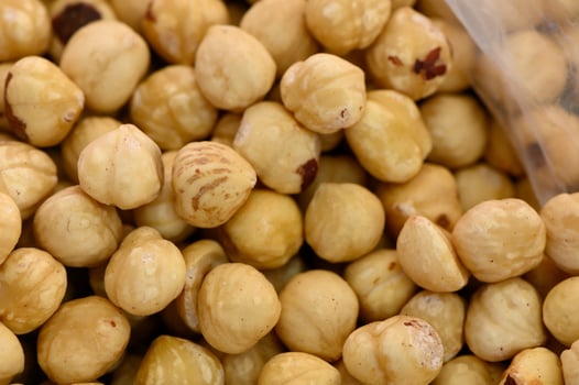 Crunchy hazelnuts collected during the harvest season in a sunlit grove showcasing nature's bounty photo
