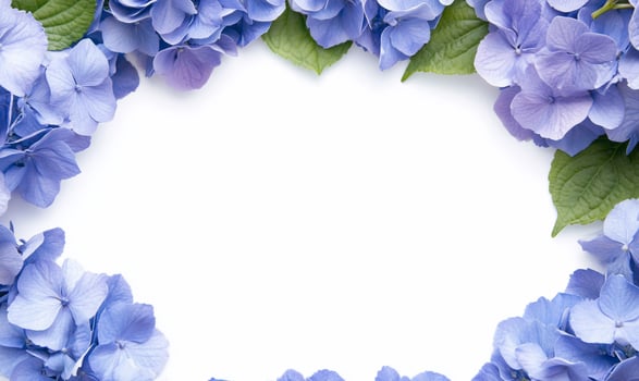 Blue hydrangea flowers are arranged in a circle photo